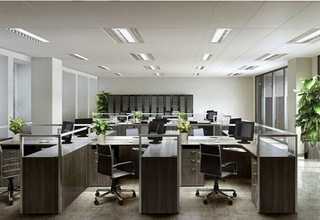 辣子牛肉面代理费用