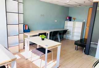 海南犬细小抗原检测卡